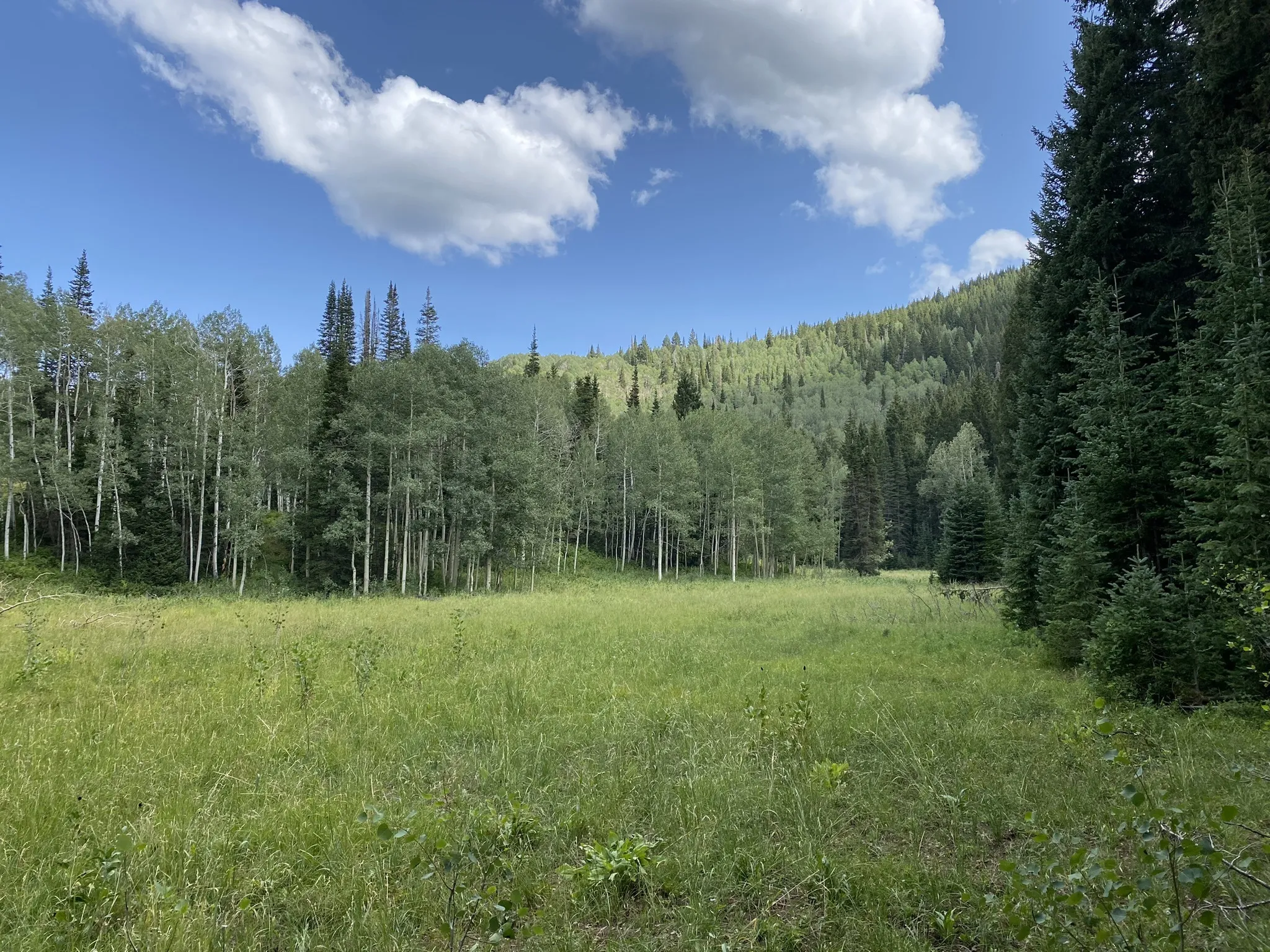 The Spruces Campground